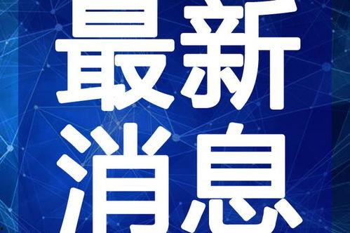 小英子最新爆料视频,幕后真相大曝光！