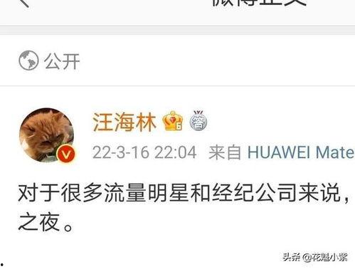 西瓜娱乐爆料,明星幕后故事大揭秘