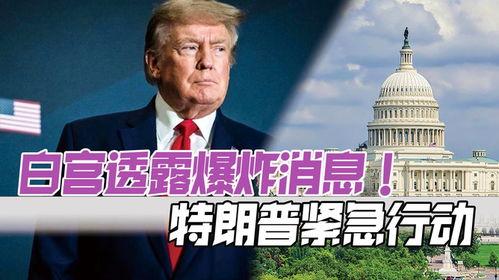 特朗普爆料时间最新,揭秘其任内惊人内幕！”