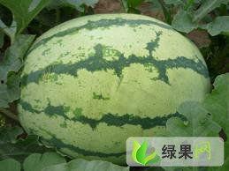 蔚县大瓜最新爆料事件,揭秘背后惊人真相