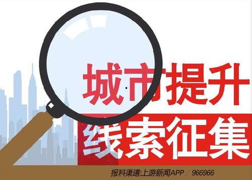 莆田新闻爆料热线电话,倾听民声，守护城市脉搏