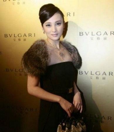 明星初恋爆料视频大全,那些被遗忘的甜蜜瞬间