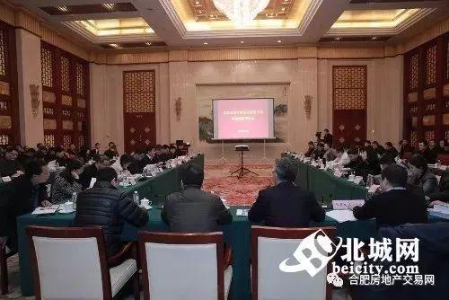 合肥爆料最新消息今天新闻,今日热点事件速览