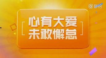 正能量挑战爆料视频,视频揭秘生活美好瞬间