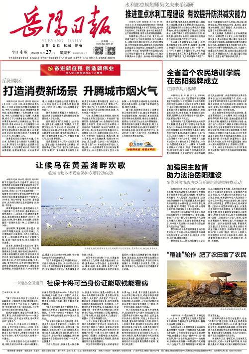 岳阳头条最新爆料,揭秘岳阳某神秘事件真相！