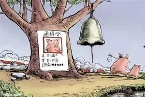 申冤人 在线观看,在线观看揭示真相的悬疑之旅
